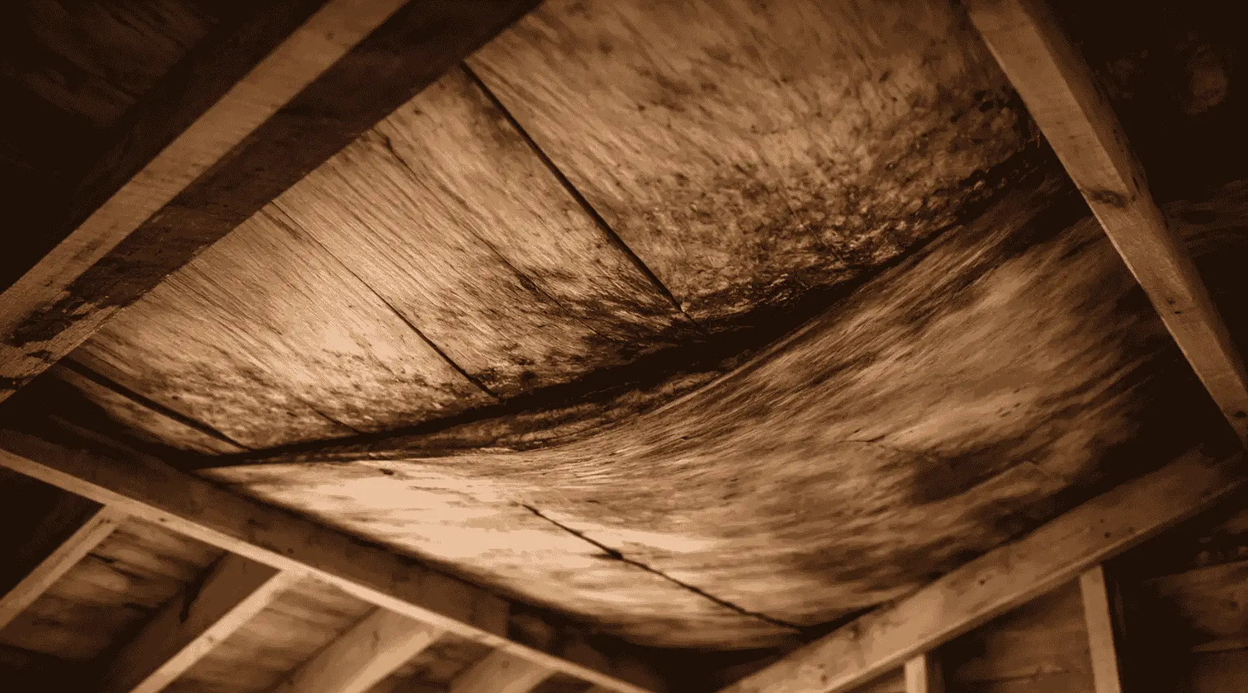 A close-up of a sagging, water-damaged roof in an attic, showing warped plywood and exposed beams.